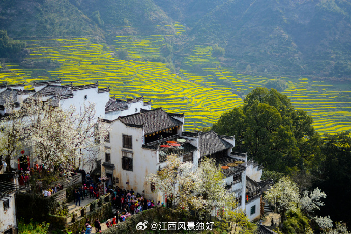 江西小巷深处的味蕾秘境探秘