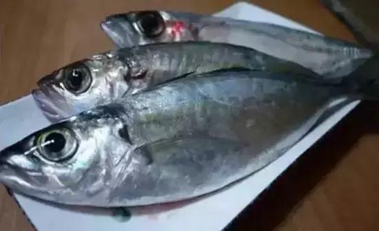 海南科技革新之星，高科技产品引领热带风情新生活