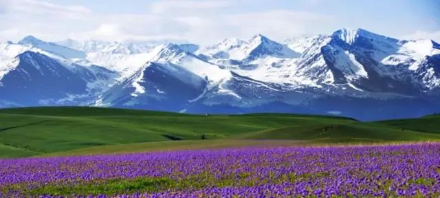 探寻西域风情,新疆之旅,说走就走的美丽邂逅