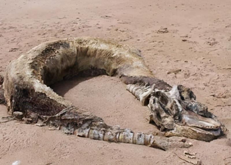 营口任务攻略与技能学习指南,详细步骤助你轻松掌握新技能!