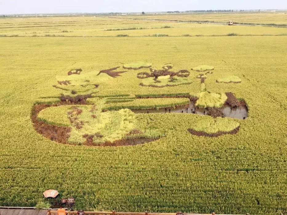 盘锦美景与文化,深度探索之旅